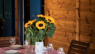 Przystanek Wieś - Foto 4