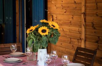 Przystanek Wieś - Foto 4