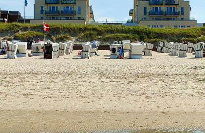 Hund im Glück - Foto 13