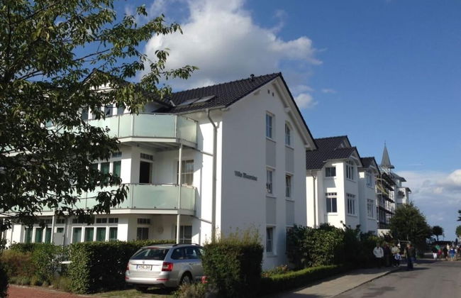 Herring Gull in the Villa Meernixe Binz - Photo 1