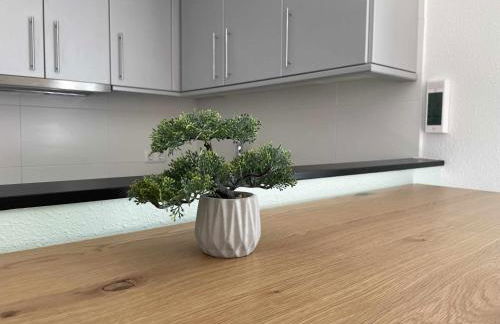 Solàrium con terraza a 5 minutos de la playa - Foto 9