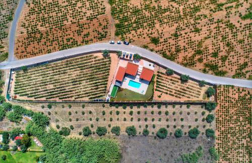 Villa Evinoi - Foto 18