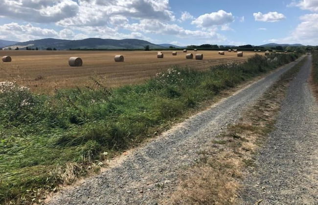 FeWo Goslar - Foto 8