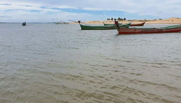 São Francisco River Day Trip - Foto 2