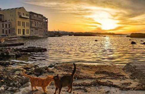 New Sea Escape Boutique Apt-Agii Aposto li beach - Foto 61