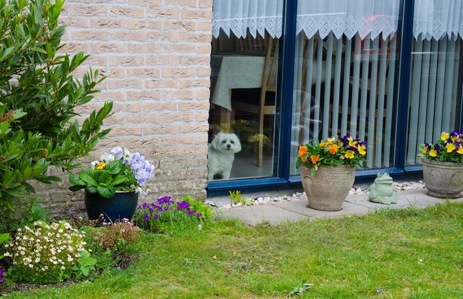 Hof van Zeeland - Photo 77