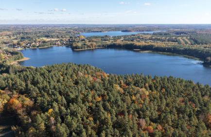 Domki letniskowe Ruś - Foto 3