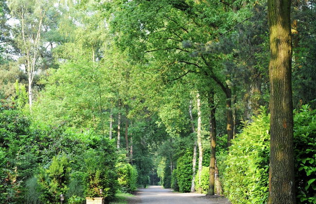 Chalet in Holiday Park With Private Terrace - Photo 15