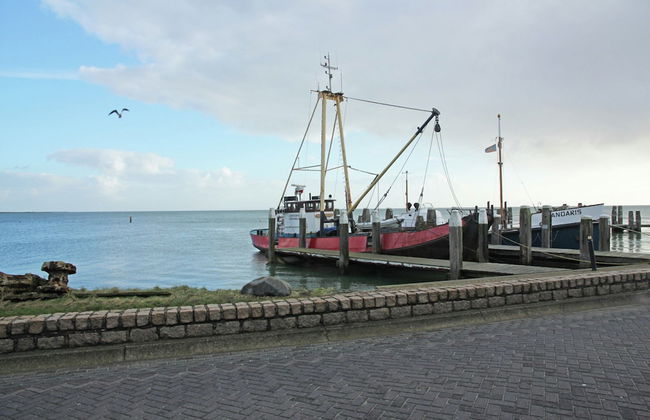 Villa in Midsland Near the Sea - Foto 33