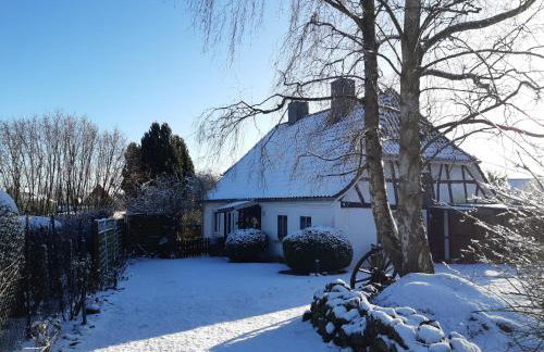 FeWo in alter, gemütlicher Bauernkate - Foto 17