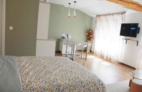 Saint Etienne : appartement Châteaucreux 40 M2 - Foto 1