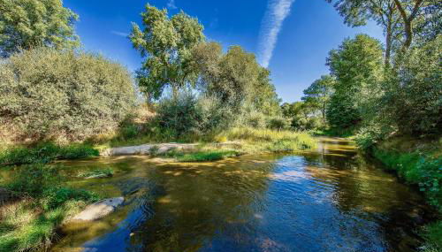 SAQA Organic Farm - Foto 5