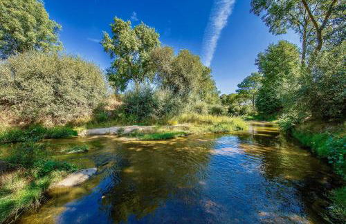 SAQA Organic Farm - Foto 5