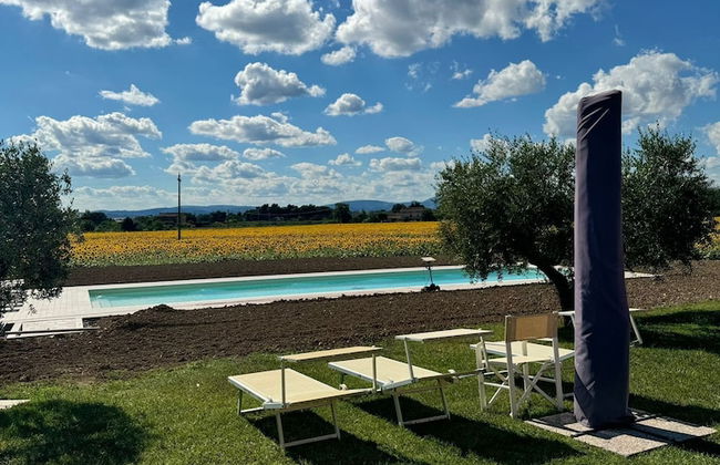 Assisium Agriturismo - Foto 20