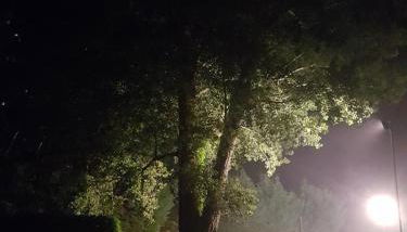 Hotel AV Apartamentos Lobios - Foto 5