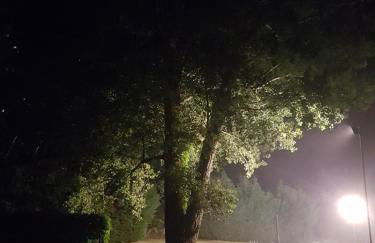 Hotel AV Apartamentos Lobios - Foto 5