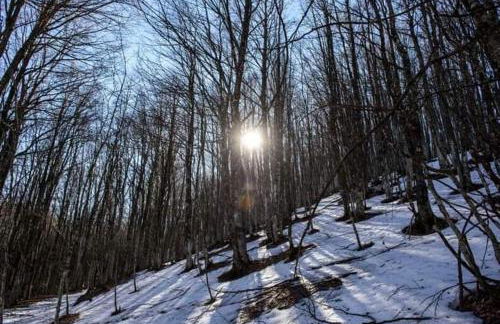 Casa vacanza zia Ersilia - Foto 53