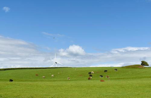 Birch Lodge - Uk30006 - Foto 31