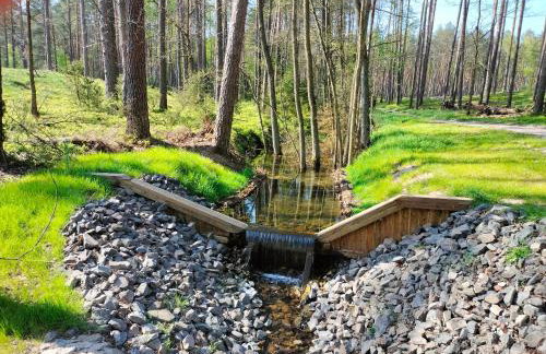Leśna Chata kuracyjna nad rzeką z sauną w Borach Tucholskich - Foto 66