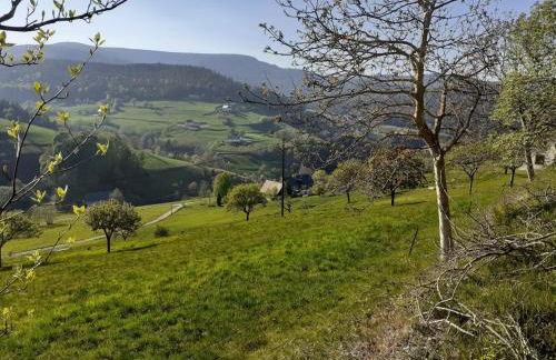 NORDIQUES DE LA WELCHE - Foto 18