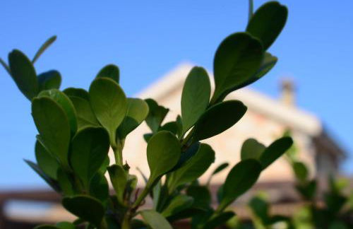 Mythos Holidays & Events - Photo 45