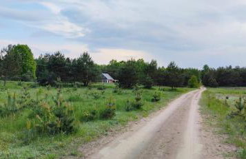 Zielony domek nad Marychą w Budwieć - Foto 40