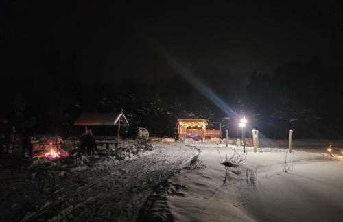 Domki nad stawem w Harszu - Foto 2