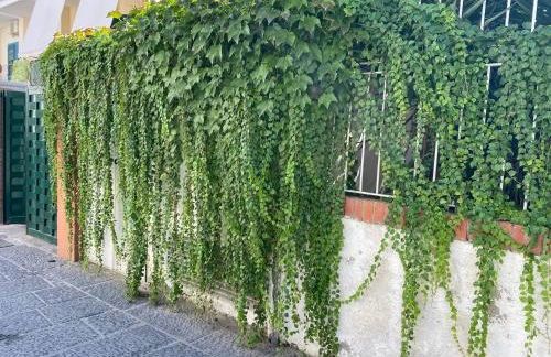 Ammore Ammare Apartment - Photo 19