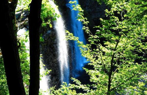 Cozy Three-Bedroom Cabin Near The Salmon River in Altmar, New York - Foto 21