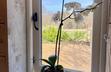 Luxury Boutique retreat, hot tub, dog friendly - Foto 31