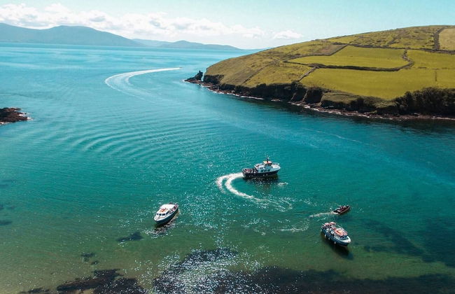 House 3 Dingle Manor Remarkable 3-bed House - Foto 8