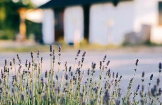 Oaza Relaksu Wigry -domek na wyłączność - Foto 16