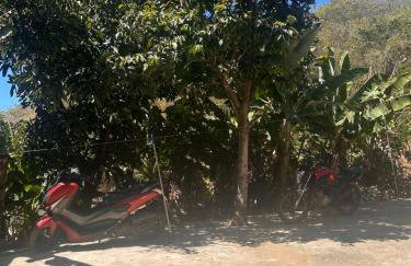 Cantinho verde - Photo 4