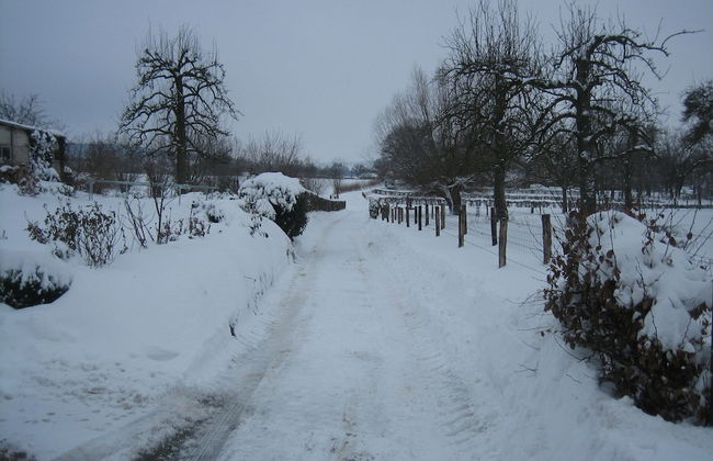 Holiday Home in Epen With Garden & BBQ - Foto 38