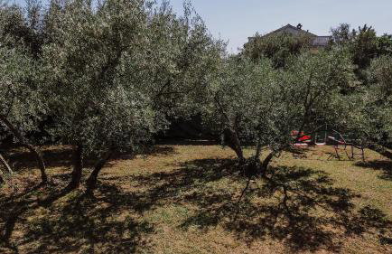 Vila Štala - Foto 8