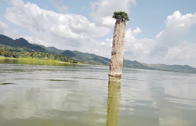 Renajoe Exclusive Centre - Photo 33