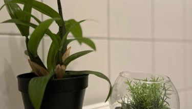 K2-Project - JugendSTIL - Kaßberg pur erleben - Foto 4