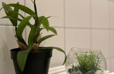 K2-Project - JugendSTIL - Kaßberg pur erleben - Foto 4