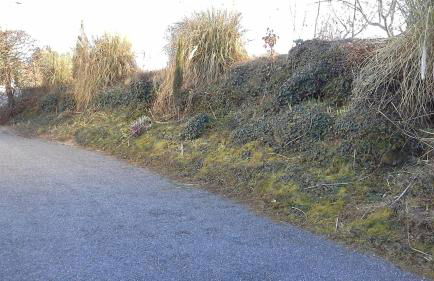 la maison bonheur - Foto 23