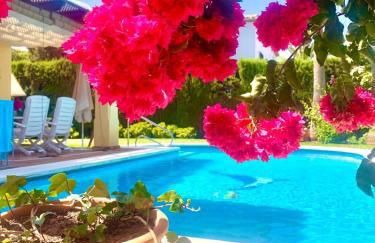 Villa Moumi - Photo 1