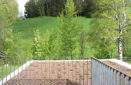 Appartement Pichler - Foto 28