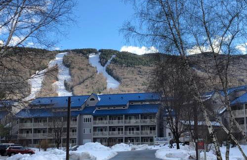 Loon Mountain Retreat with Pool and Hot Tub - Foto 26