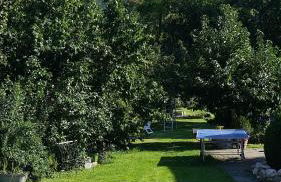 Ferienhaus Bohlingen - Haus 26 - Foto 19