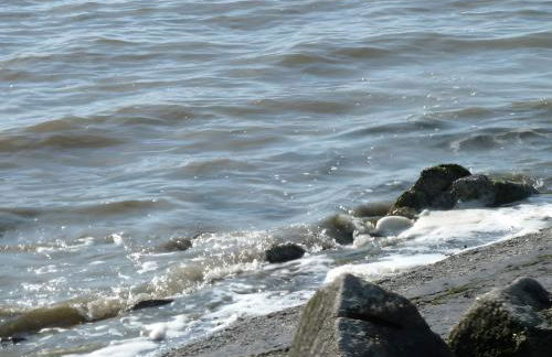 Klaus Jensen , Unter den Linden - Foto 21