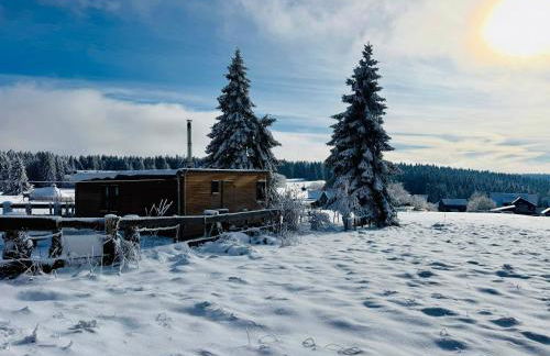 Tiny Chalet Stuga Am Rennsteig mit Kamin und Garten, Hunde Willkommen - Foto 10