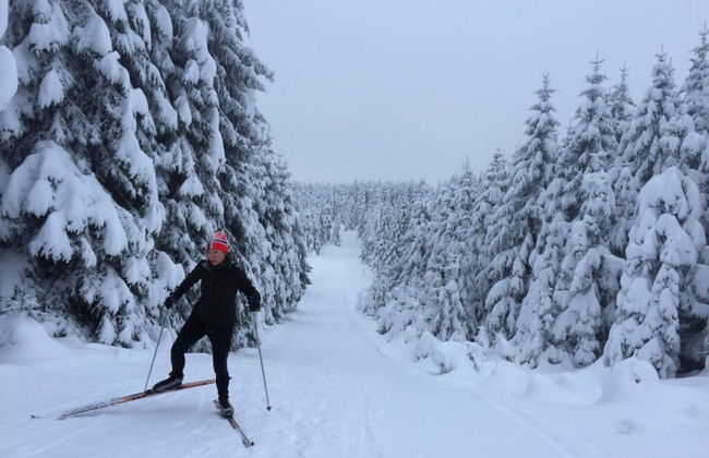 Holiday Home Harzhaus Time out - Photo 17