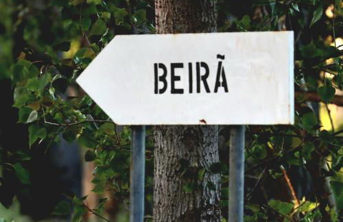 Tapada da Rabela - Reserva Natural - Foto 29