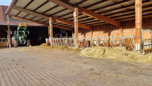 Ferienbauernhof Brandt - Foto 4