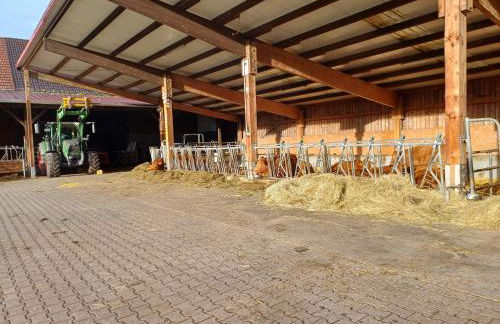 Ferienbauernhof Brandt - Foto 4