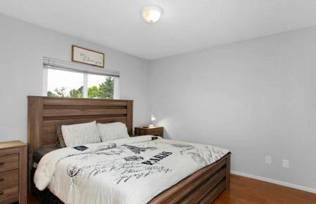 Pet Friendly near AF Academy - Foto 23